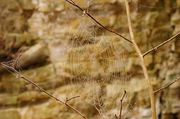 DSC01765.JPG