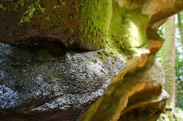 DSC05057.JPG