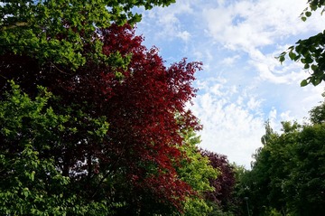 DSC05185.JPG