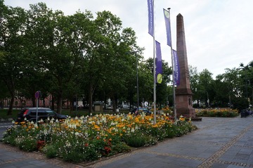 DSC09645.JPG