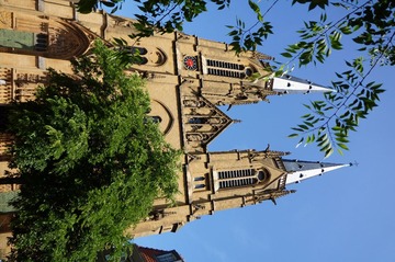 DSC06500.JPG