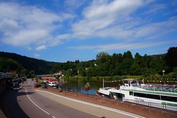 DSC07547.jpg