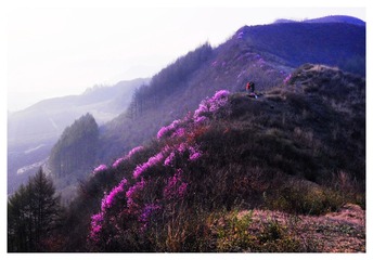 _DSC0320