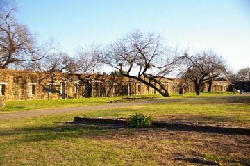 IMGP5153.JPG