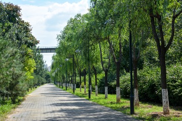 DCH_4898-1