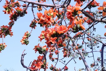 IMG_2942.jpg