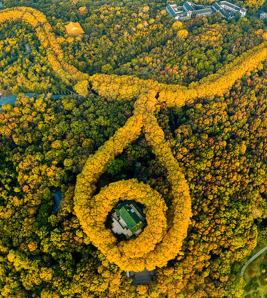 紫金山项链三张接片
