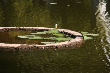 IMG_7127.JPG