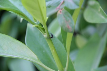 IMG_7252.JPG