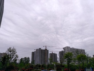 254523