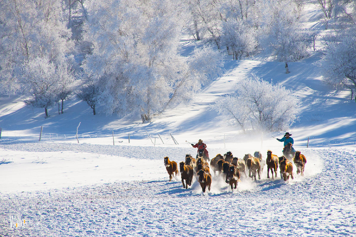 马踏雪花
