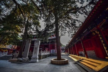 DSC_1914-2