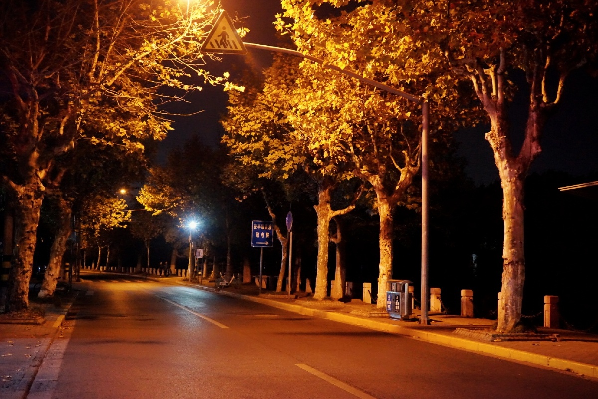 魔都深秋夜色安亭