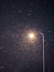 雪-4