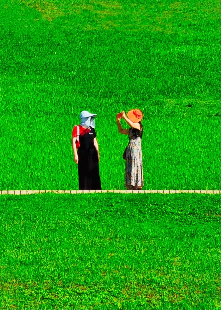 炎热的夏天人们在享受着强烈的阳光