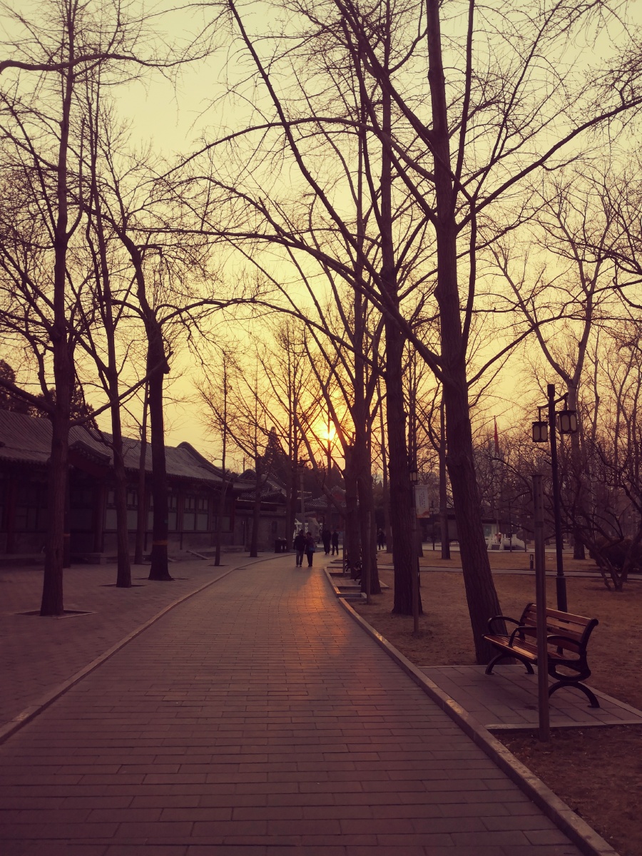 日坛公园的小道,夕阳的光辉撒在大理石路上