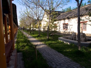 P4300073.jpg