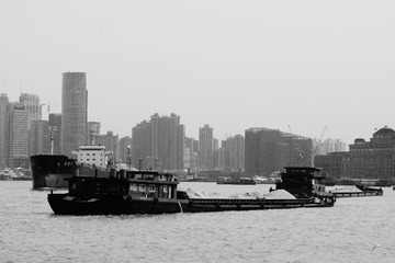 DSC00950.JPG
