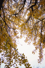 Optional("E8946CF4-49F4-4842-A868-6F7DC9F42C14/L0/001")