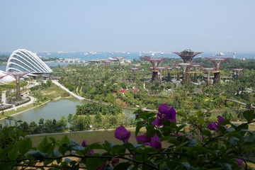DSC01662.jpg