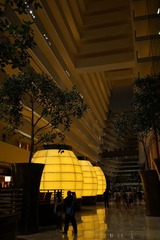 DSC01694.jpg