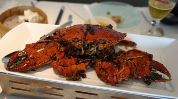 DSC01722.jpg