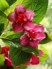 DSC01928.jpg