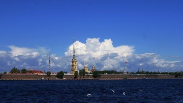 DSC02785.jpg