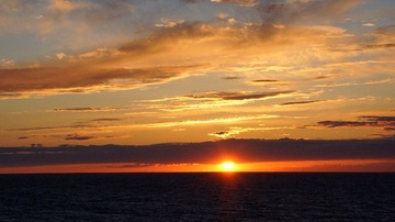 DSC02905.jpg