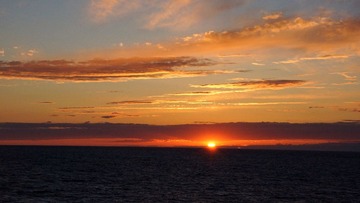 DSC02926.jpg