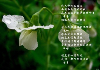 小雨0001DSCN9718.jpg