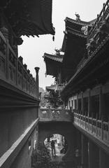 P5290055