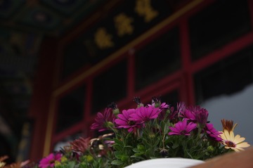 5911B932-3A7B-41A5-8ACF-D4676BC3261F/L0/001