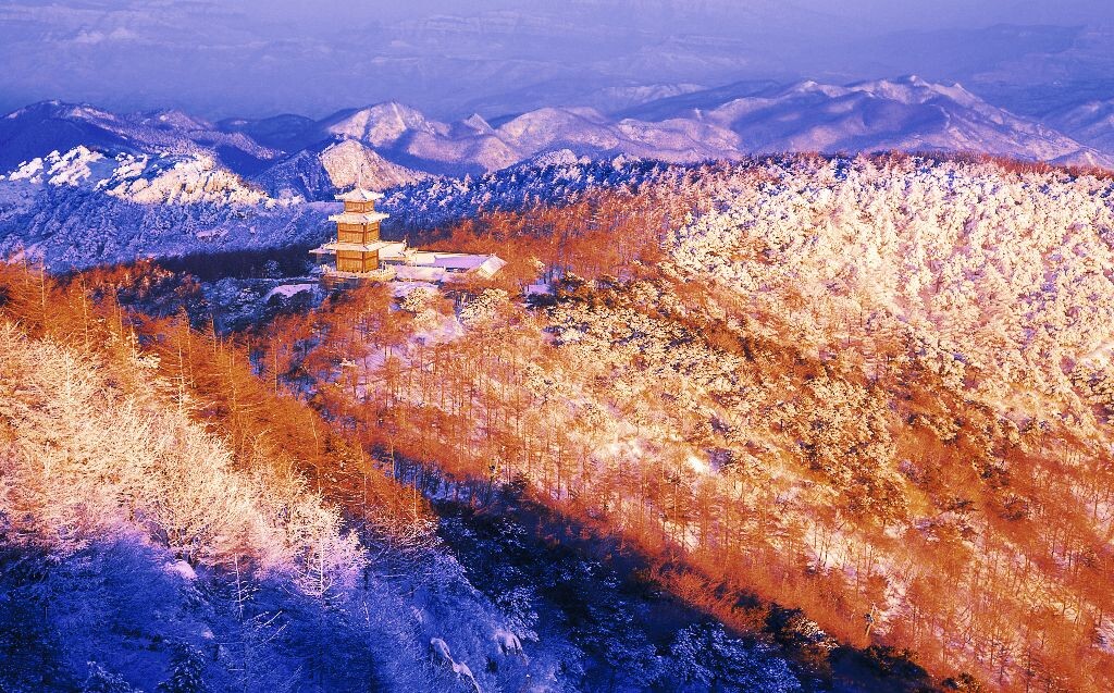 层林尽染   （泰山蛐蛐）拍摄<br />
