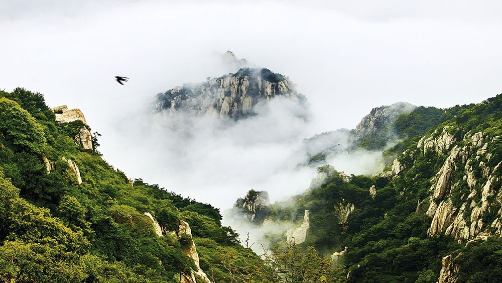云燕翠山  曲业芝（泰山蛐蛐）拍摄<br />
