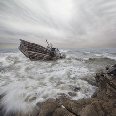 _MG_7984.jpg
