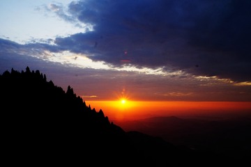 1305533