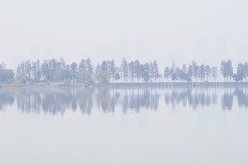 1419307