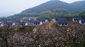 576479