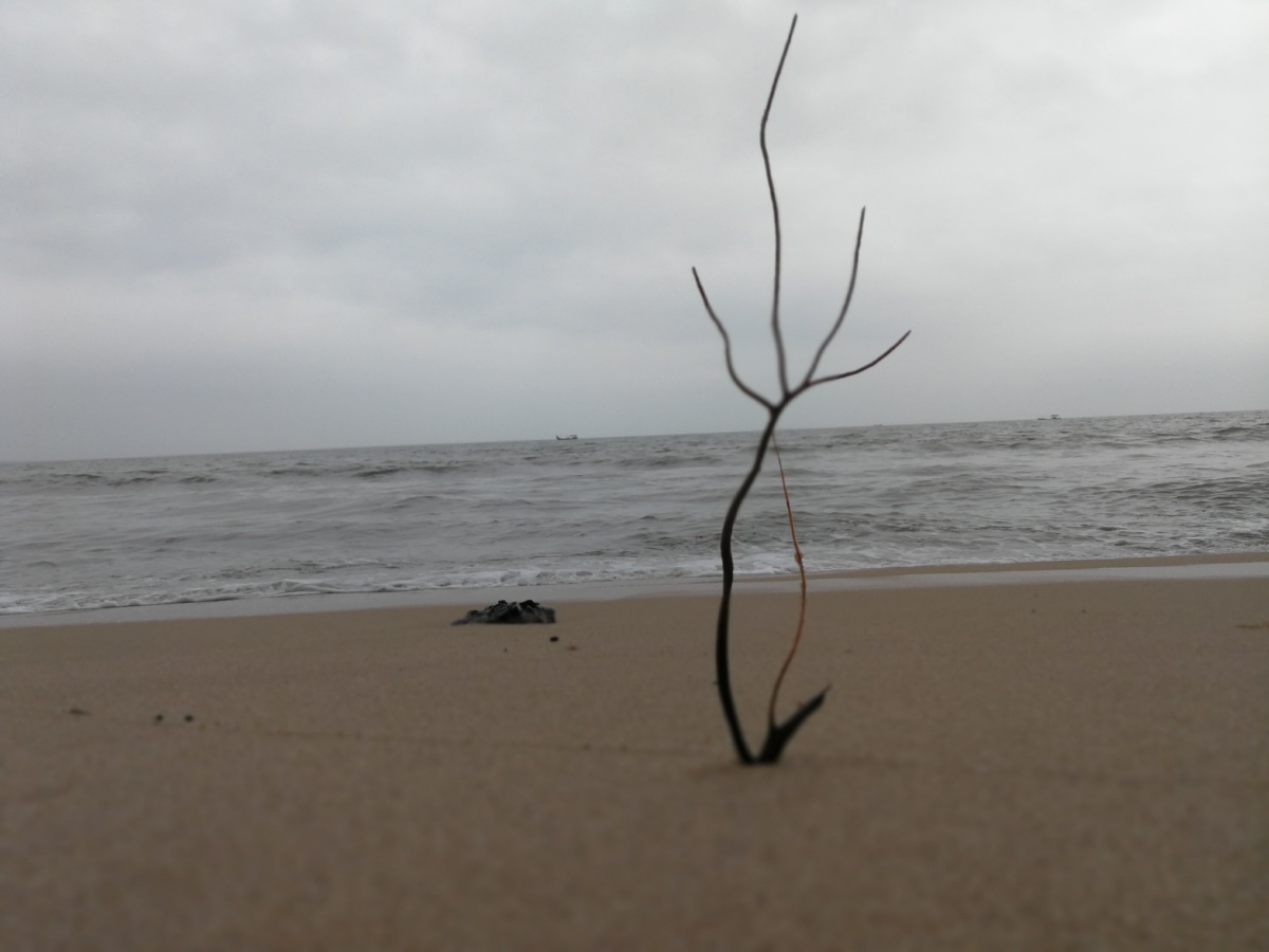 事急则缓事缓则圆