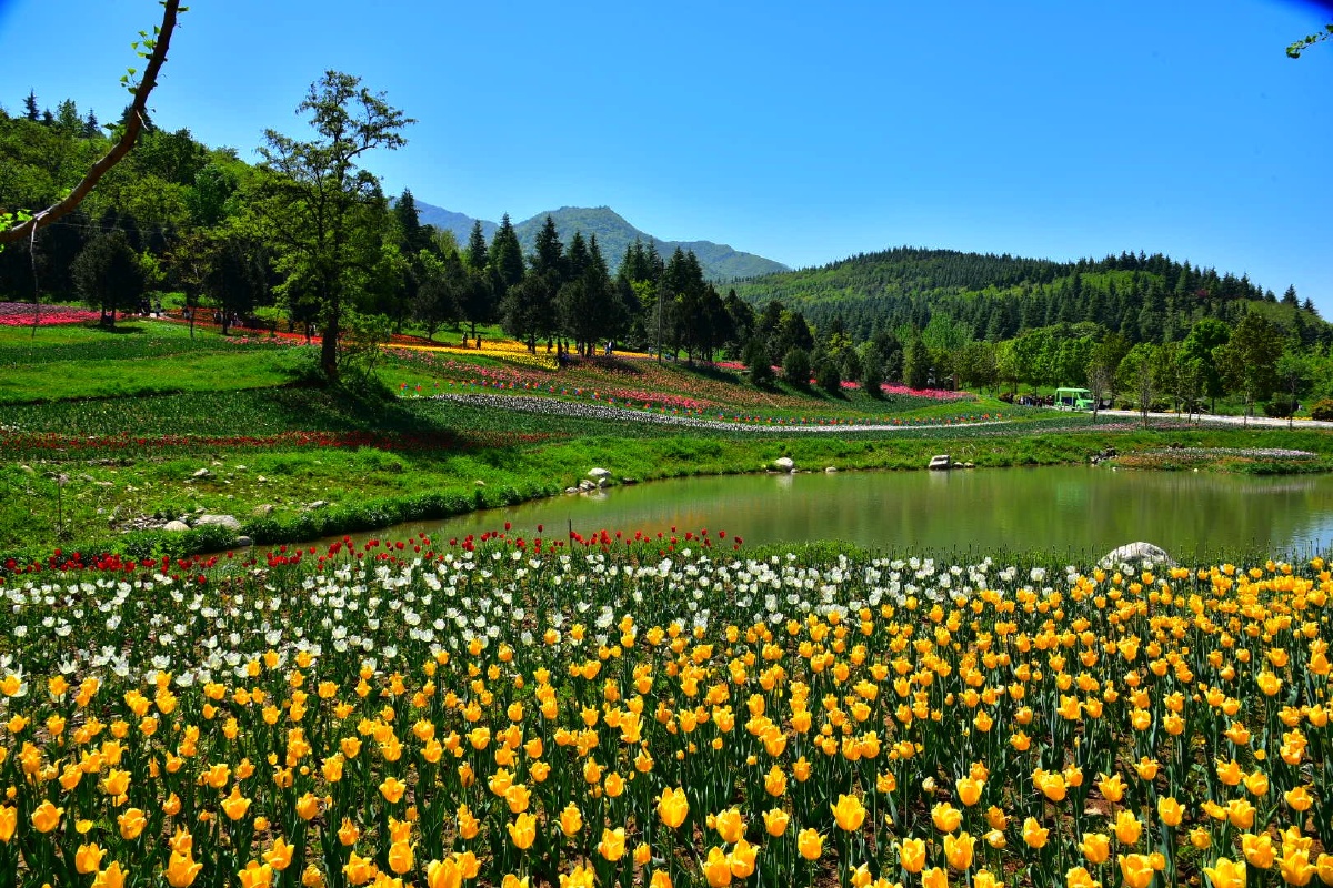 秦岭国家植物园