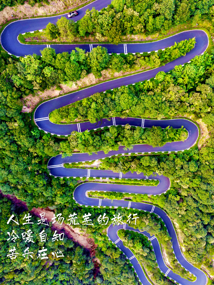 人生苦短蜿蜒曲折