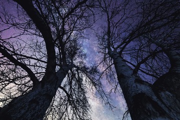 星空下的相伴