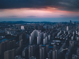 零度都市丛林