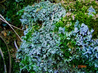 DSC00280.jpg