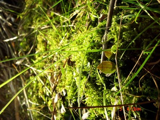 DSC00312.jpg
