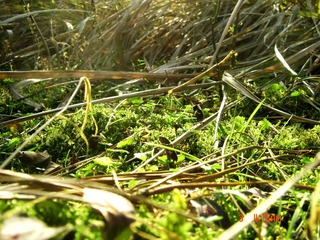 DSC00317.jpg