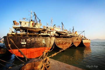IMG_8919.jpg
