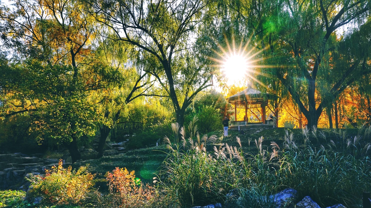 金秋阳光与色彩