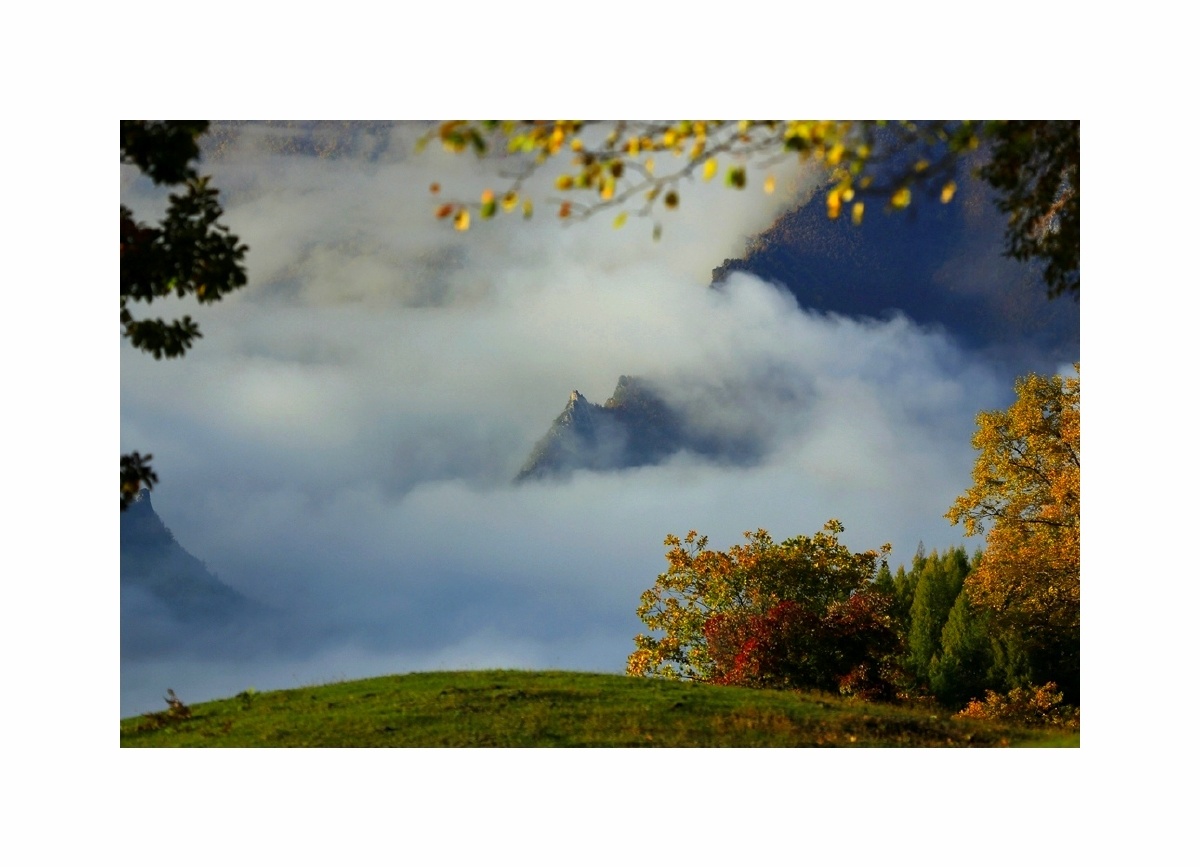 秋色在何许浮岚金华山色间弹指间霜降至秋意已慕新冬将临愿生活还泛着
